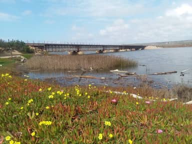 Ocean Beach County Park — photo 2